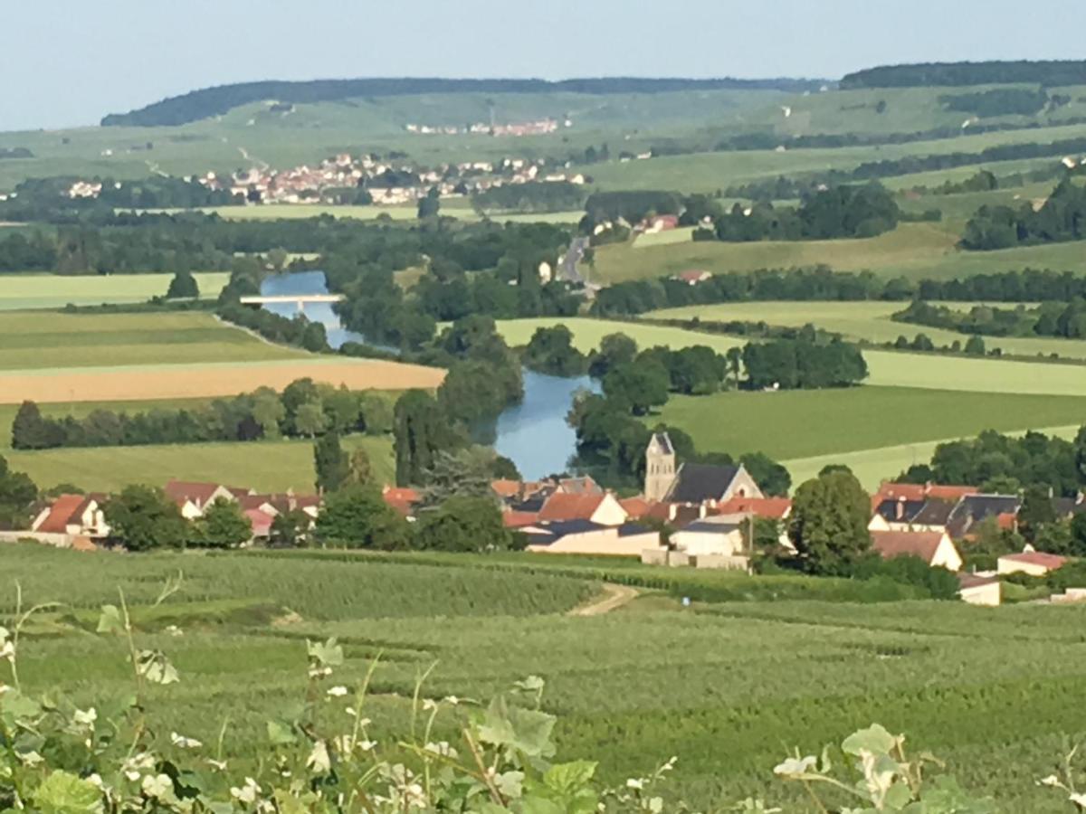 Villa L'Insouciance En Champagne Vincelles  Exterior foto